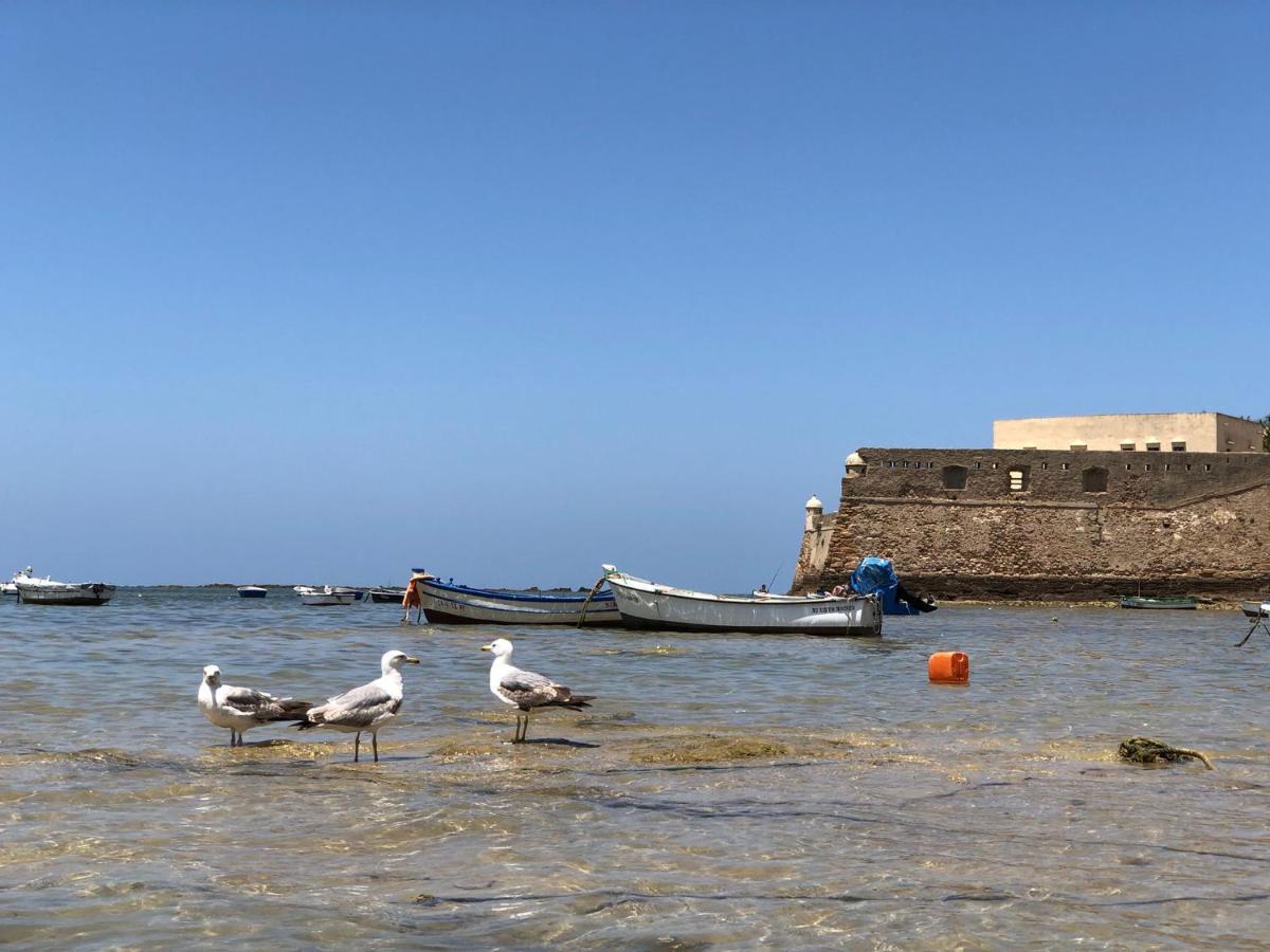 Planeta Cadiz